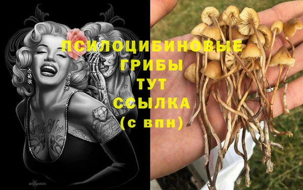 мет Алексеевка