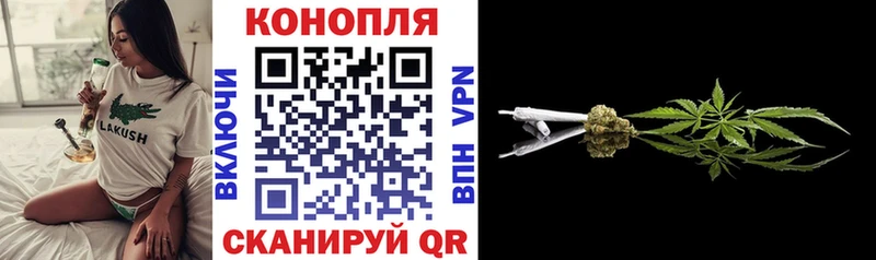 Бошки Шишки план  Жуковка 